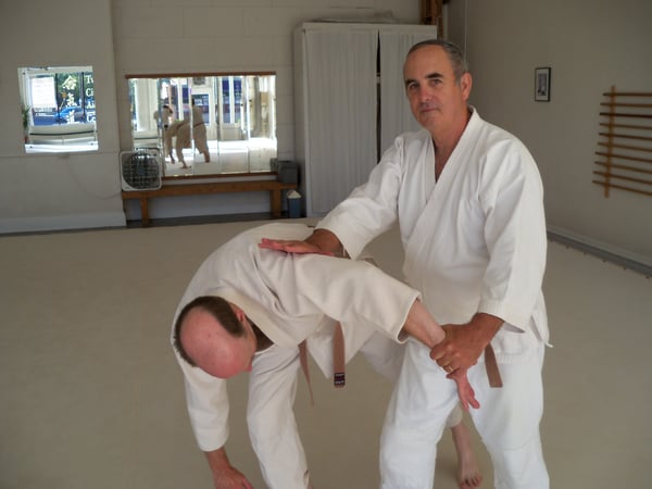Adult Fitness Internal, aikido