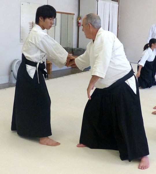 Adult Fitness Internal, aikido