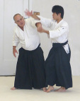 Picture for Aikido