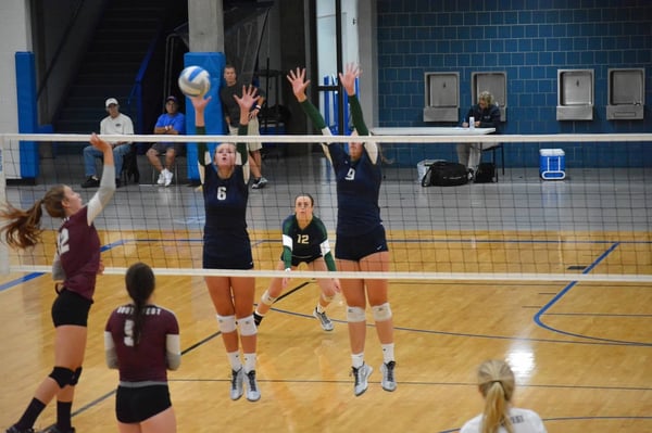 elite camp, future stars, Irish Elite Volleyball Camp, Queen of the Court, rising stars, rosemount high school, Smokey Vitek, volleyball camp