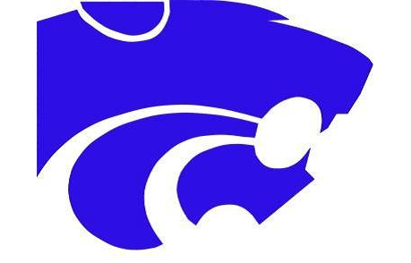 Course Eagan Wildcats Wrestling: Open Mats (grades 7-12) image 1