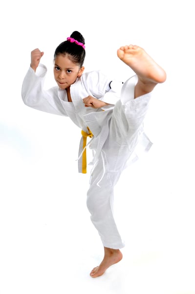 Picture for Martial Arts
