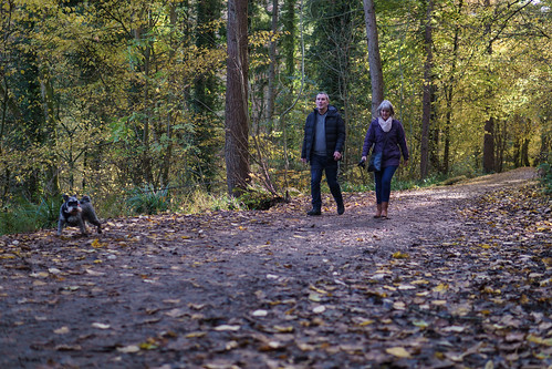 Picture for: Hike Ritter Farm Park