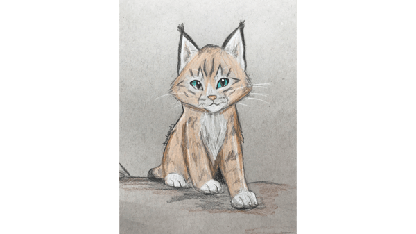Picture for Wild Animals Drawing Camp (grades 2-6)