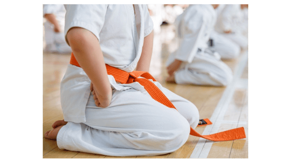Course Continuing Tae Kwon Do-Orange Belt and Above  (ages 6+) image 1