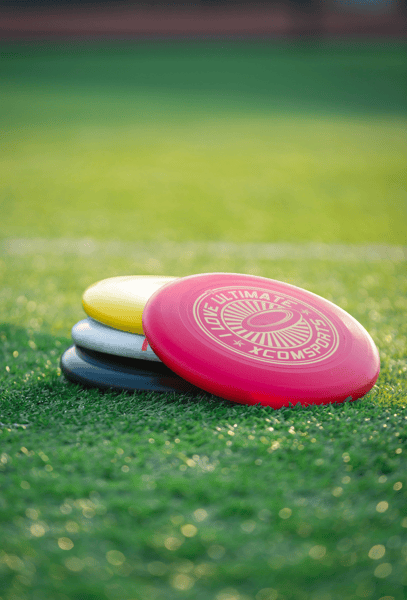 Course ​Apple Valley Eagles Ultimate Frisbee Introduction Camp (grades 3-9) image 1