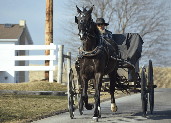 Picture for: Fall in Harmony: Amish Farms and Wares