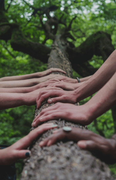 Course Creating Healthy Relationships (adult and child, ages 14+) image 1