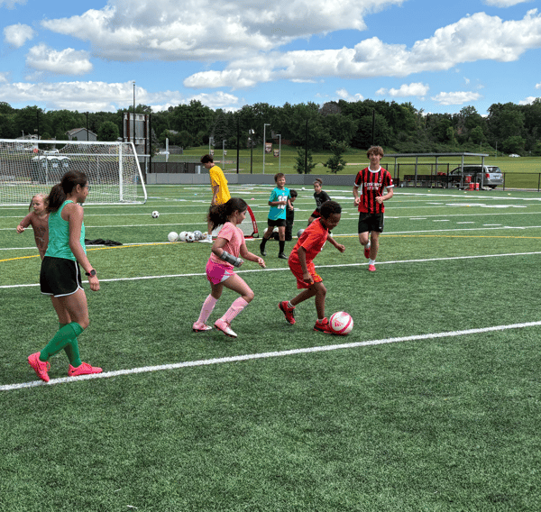 Course Apple Valley Eagles Soccer Camp (boys and girls, grades K-8) image 1