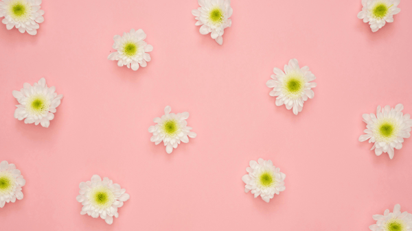 Picture for: Hanging Flower Art