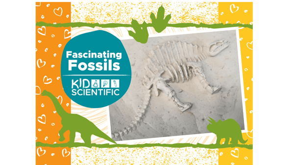 Picture for Fascinating Fossils (ages 4-9)