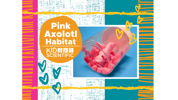 Picture for Pink Axolotl Habitat (ages 5-12)