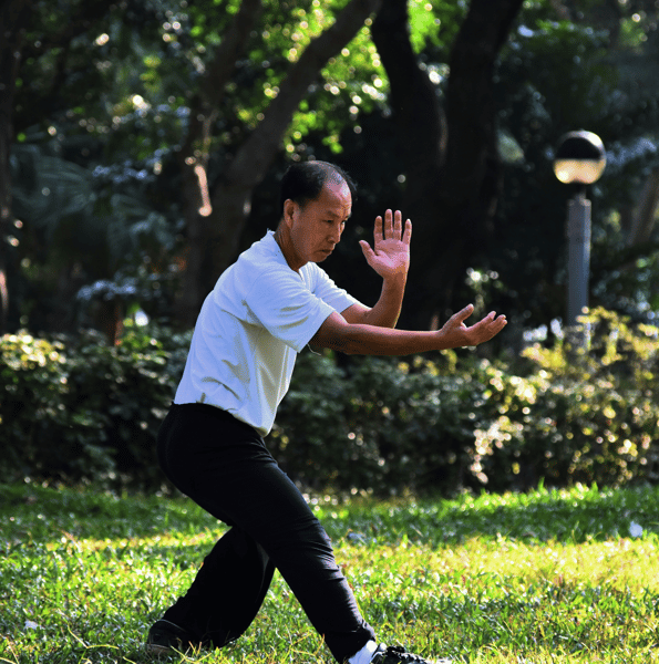 Course Mindful Movement for Wellness with Tai Chi and Qigong image 1