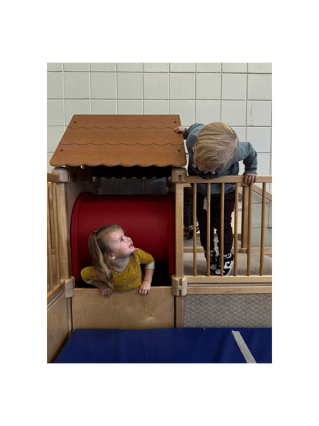 Picture for: Dynamics of Sibling Relationships