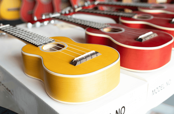 Picture for: Instant Ukulele for Hopelessly Busy People
