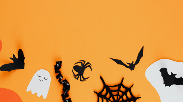 Picture for: Spider Web Dreamcatcher