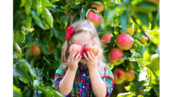 Course Apple Jacks Field Trip image 1