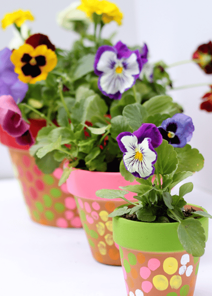 Course Spring Fling image 1