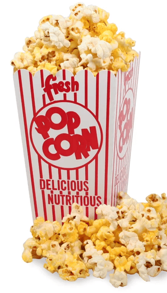 Course ECFE Movie Night image 1