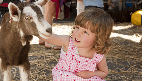 Course Eveland Family Farm image 1