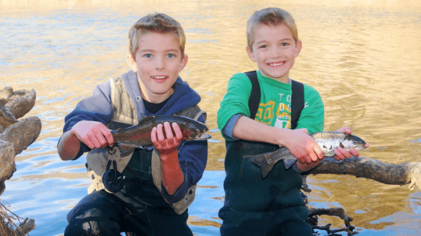 Picture for: School of Fish