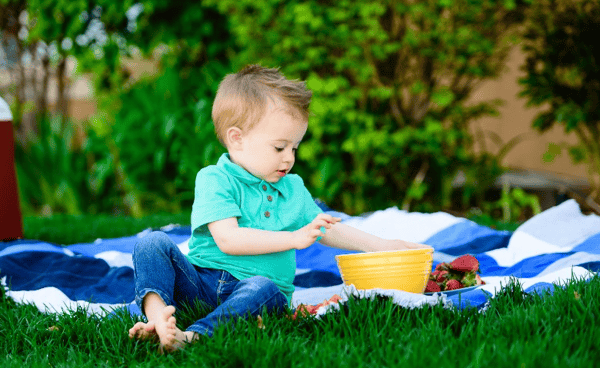 Course ECFE Family Picnic image 1