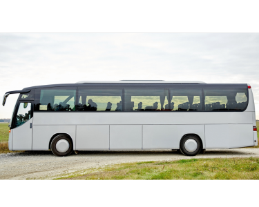 Picture for Trips & Tours