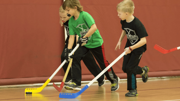 Picture for: Dash Sports: Floor Hockey Camp
