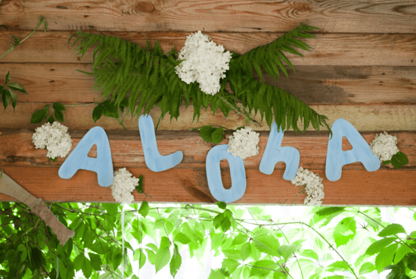 Picture for: ECFE Family Picnic