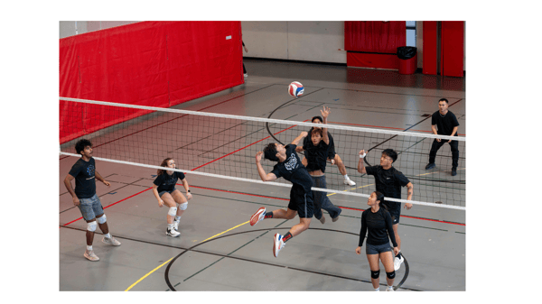 Picture for: Volleyball Upper Elementary and Middle School Skills & Competition