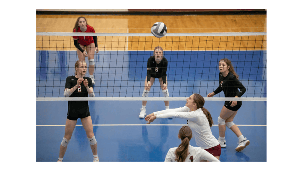 Course Volleyball Middle School Skills & Competition image 3