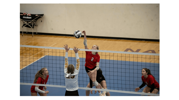 Picture for: Girls High School Volleyball Skills & Competition