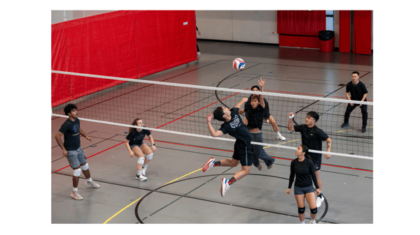 Course Mixed Middle School and High School Volleyball Skills & Competition image 3