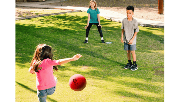 Picture for: Knights Sports Sampler