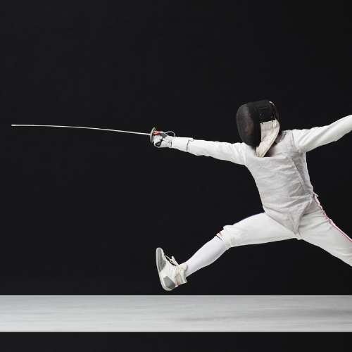 Picture for Fencing