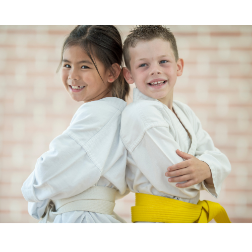 Picture for Martial Arts