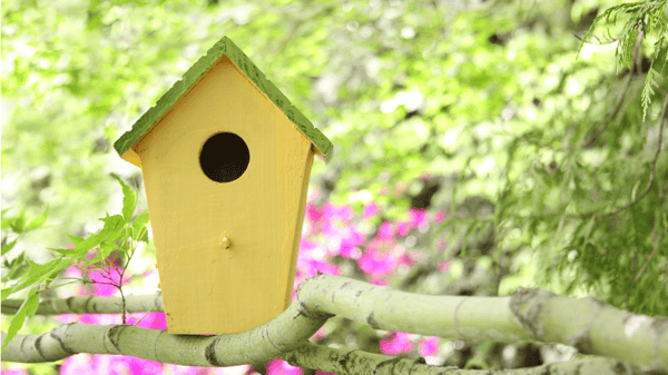Picture for: Birdhouse Workshop