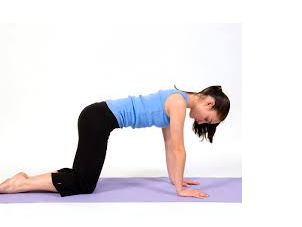 Picture for: Yoga Basics with Alicia