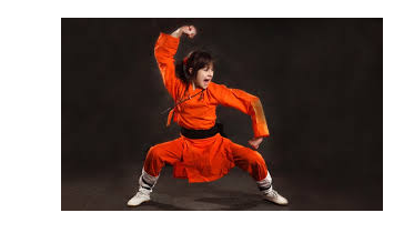 Course Kung Fu – Wu Shu for Self-Defense and Fitness: Instruments & Sparring image 1