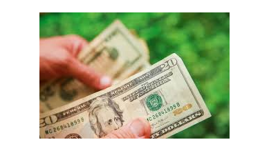 Picture for: Financial Literacy