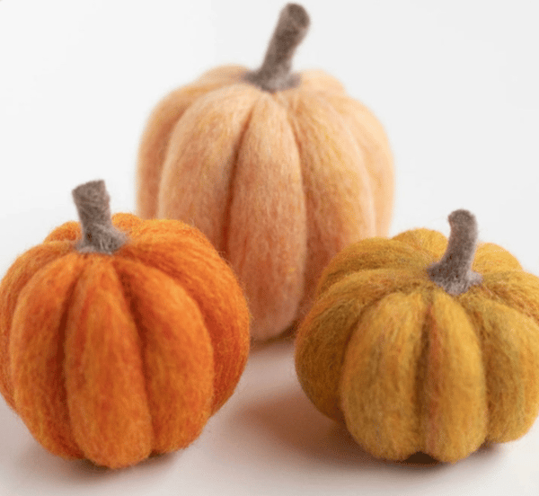 Picture for Wool Felted Pumpkins