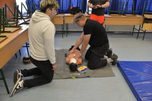 Picture for: American Red Cross: Adult & Pediatric CPR/AED/First Aid - Blended Learning