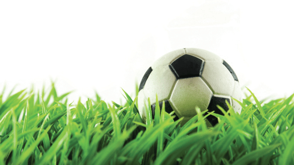 Picture for: Mini-Hawk Soccer