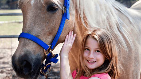 Picture for: Horse Day Camp