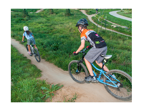 Picture for: Mountain Bike D-Team
