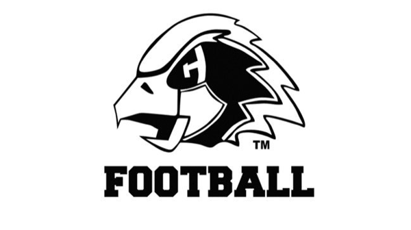 Picture for: Youth Football Playmaker