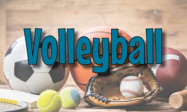 Picture for Volleyball