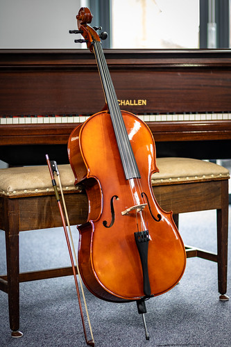Image for Camerata Orchestra