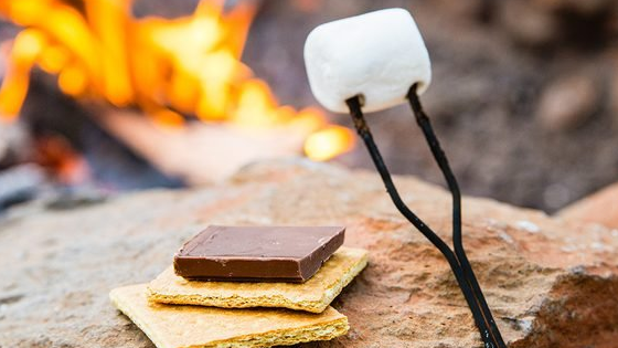Picture for: Youth Geocaching for S'mores