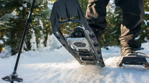 Course Snowshoe Nature Hike image 1